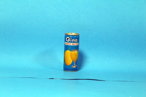 GINA MANGO NECTAR